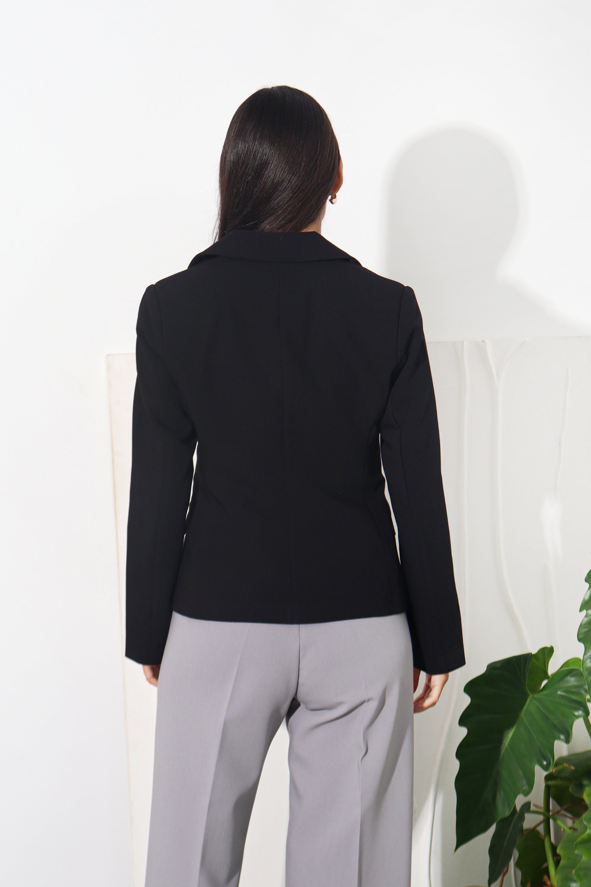 Blazer Mica